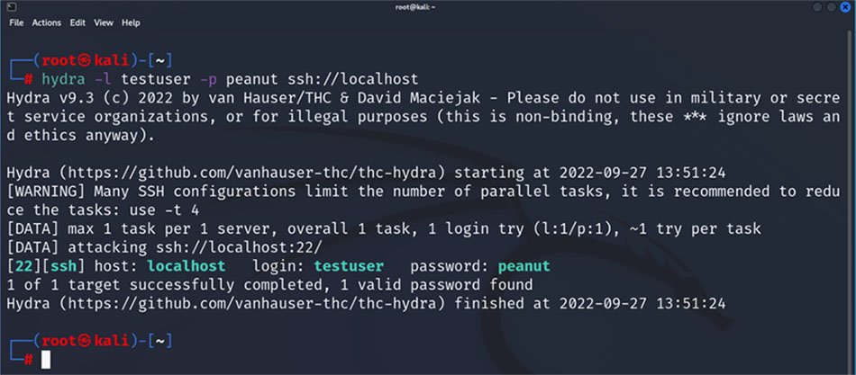 Example of using Hydra with constant username/password values