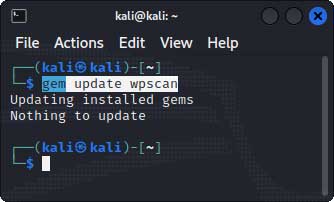 gem-update-wpscan